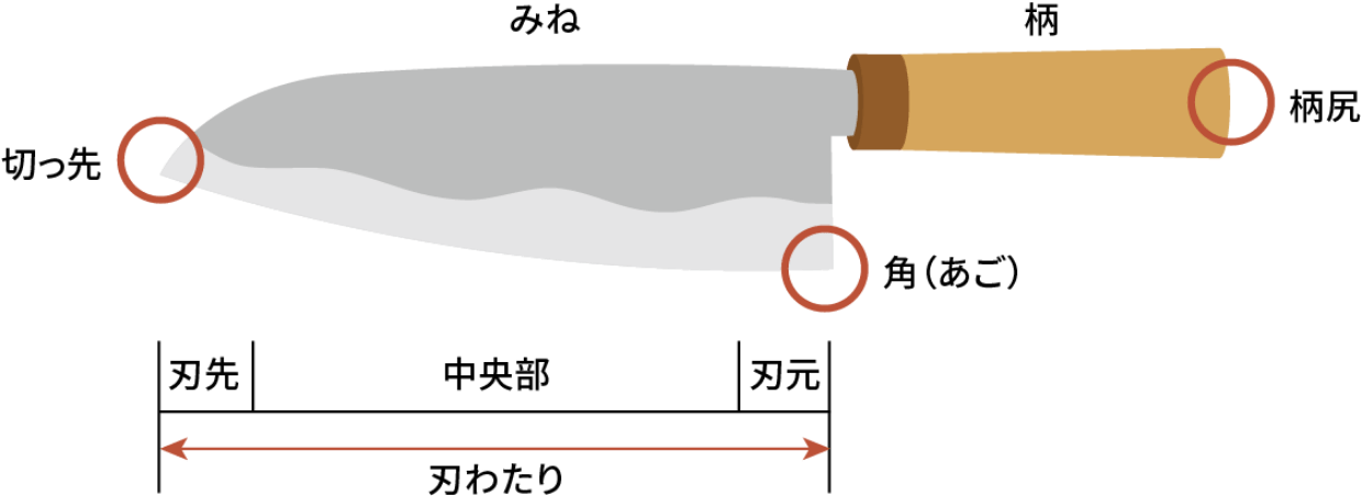包丁の各部分 切っ先、みね、角(あご)、柄、柄尻